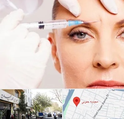 مزوژل در مجیدیه جنوبی