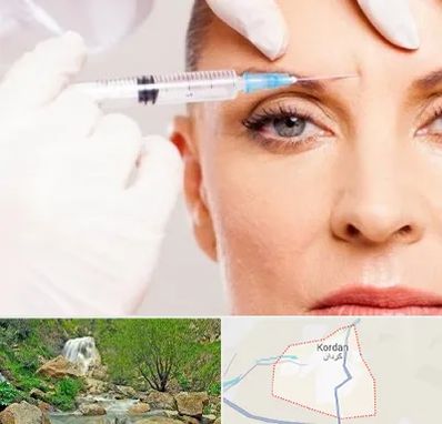 مزوژل در کردان