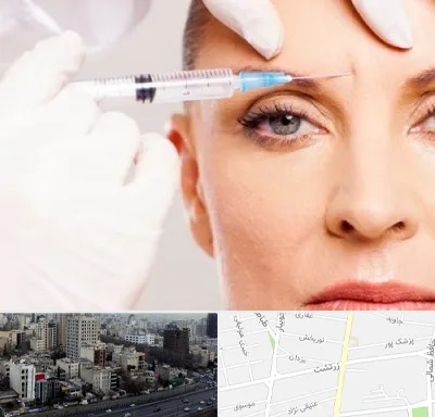 مزوژل در زرتشت