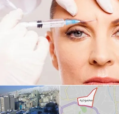 مزوژل در محمودیه