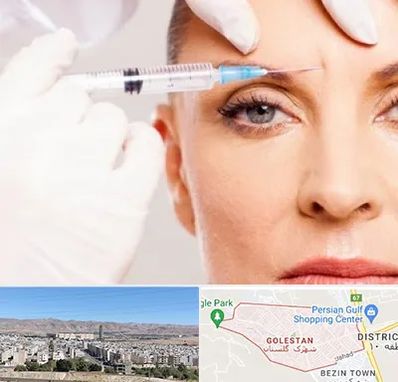 مزوژل در شهرک گلستان شیراز