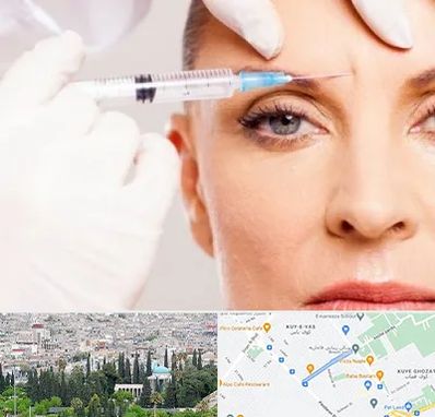 مزوژل در محلاتی شیراز