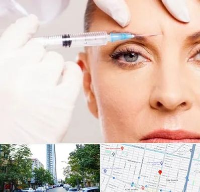 مزوژل در امامت مشهد