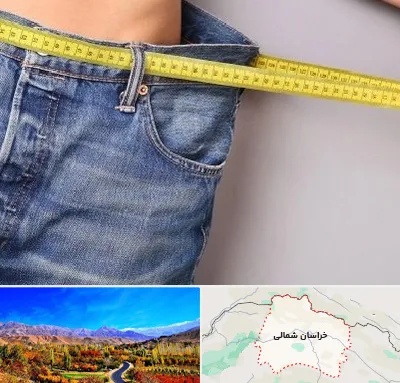 عمل لیپوماتیک در خراسان شمالی