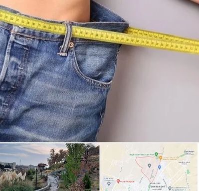 عمل لیپوماتیک در باغستان کرج