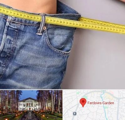 عمل لیپوماتیک در باغ فردوس