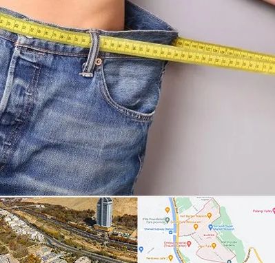 عمل لیپوماتیک در خیابان نیایش شیراز