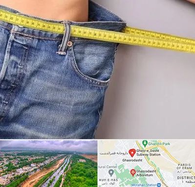 عمل لیپوماتیک در قصرالدشت شیراز