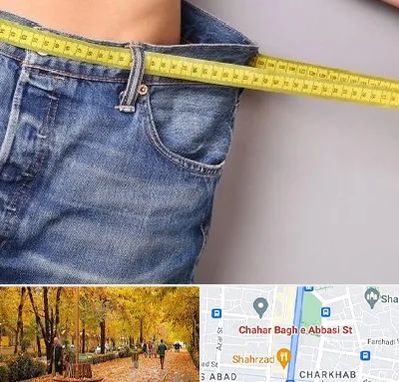 عمل لیپوماتیک در چهارباغ اصفهان