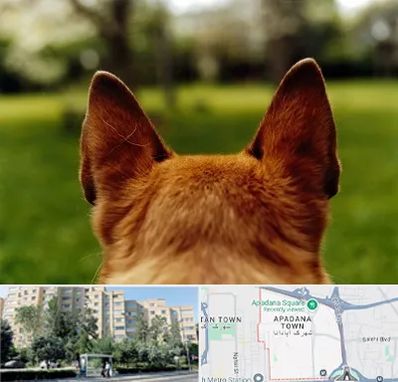 مرکز جراحی گوش سگ در آپادانا