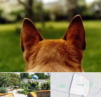 مرکز جراحی گوش سگ در باغمیشه تبریز