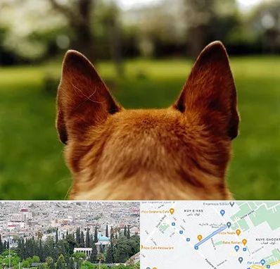 مرکز جراحی گوش سگ در محلاتی شیراز