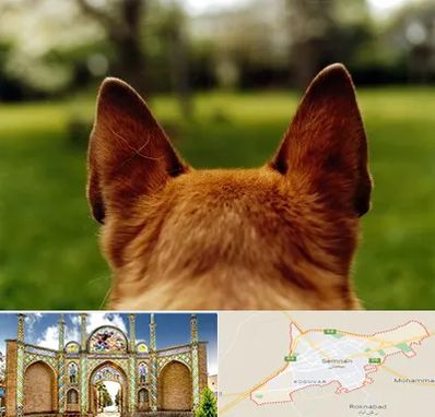 مرکز جراحی گوش سگ در سمنان