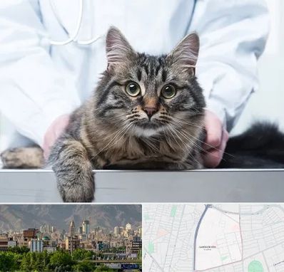 عقیم سازی حیوانات در جمشیدیه