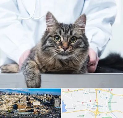 عقیم سازی حیوانات در شهرک راه آهن