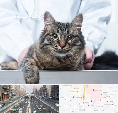 عقیم سازی حیوانات در توحید 