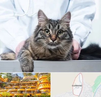 عقیم سازی حیوانات در دربند