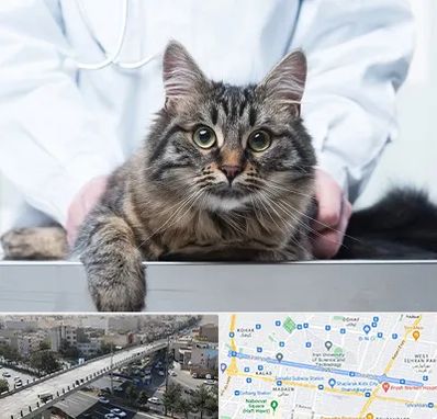 عقیم سازی حیوانات در فرجام