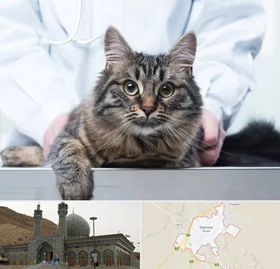 عقیم سازی حیوانات در شهرضا