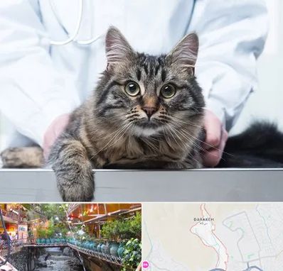 عقیم سازی حیوانات در درکه