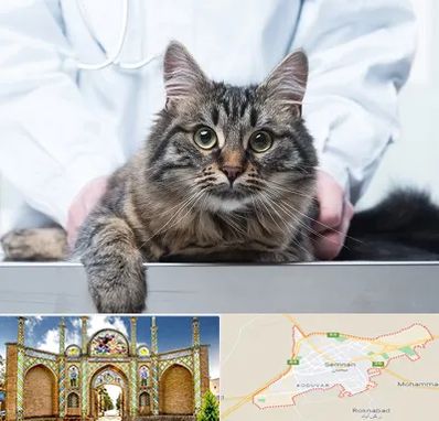 عقیم سازی حیوانات در سمنان