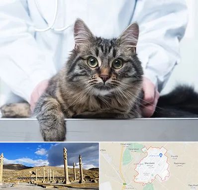 عقیم سازی حیوانات در مرودشت