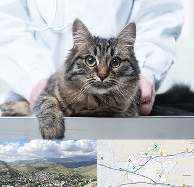 عقیم سازی حیوانات در رودهن