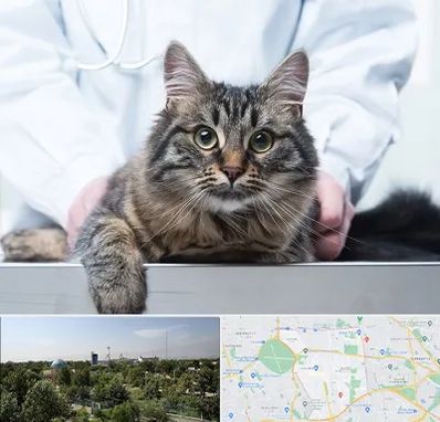 عقیم سازی حیوانات در منطقه 16 تهران 