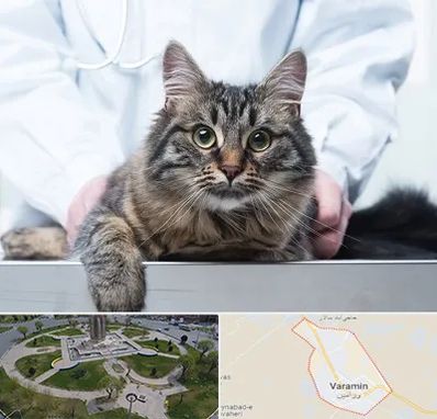 عقیم سازی حیوانات در ورامین