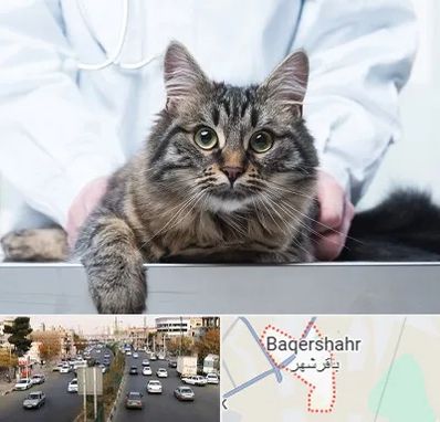 عقیم سازی حیوانات در باقرشهر