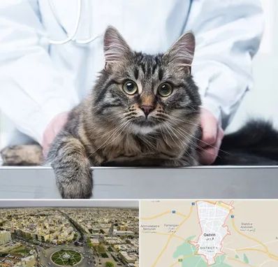 عقیم سازی حیوانات در قزوین