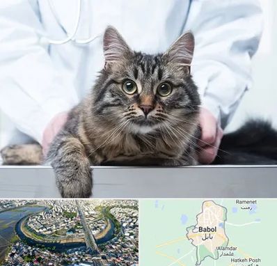 عقیم سازی حیوانات در بابل