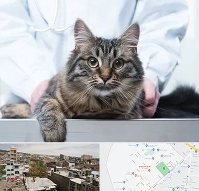 عقیم سازی حیوانات در شمیران نو