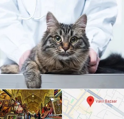 عقیم سازی حیوانات در بازار وکیل شیراز