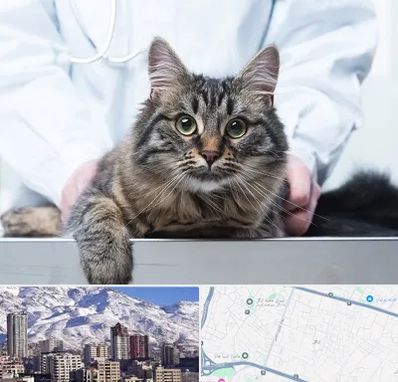 عقیم سازی حیوانات در ازگل