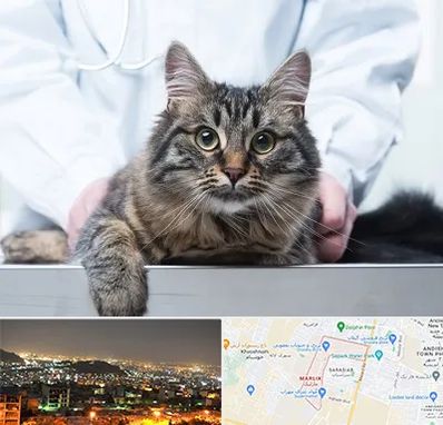 عقیم سازی حیوانات در مارلیک کرج