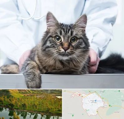 عقیم سازی حیوانات در بهبهان