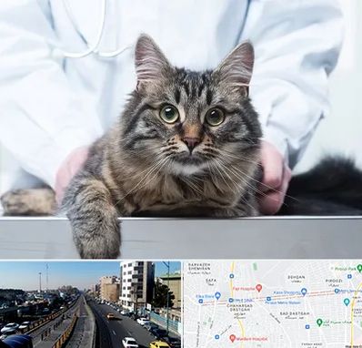 عقیم سازی حیوانات در پیروزی 