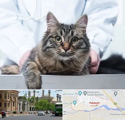 عقیم سازی حیوانات در پاکدشت