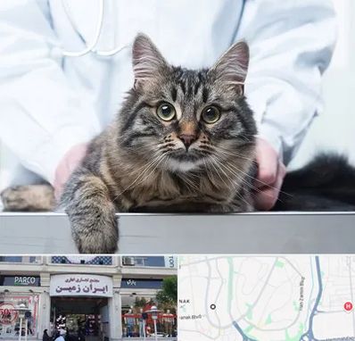 عقیم سازی حیوانات در ایران زمین