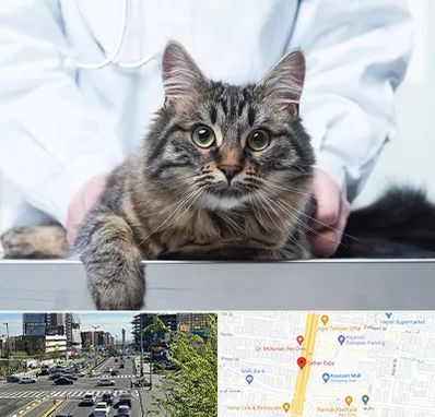 عقیم سازی حیوانات در ستاری 