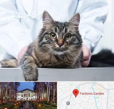 عقیم سازی حیوانات در باغ فردوس