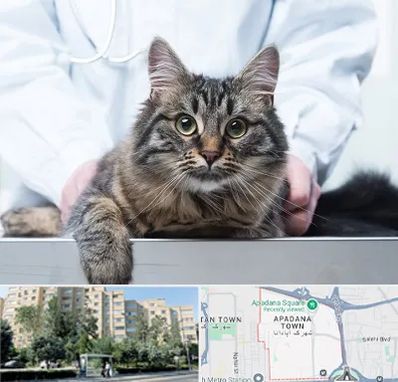 عقیم سازی حیوانات در آپادانا