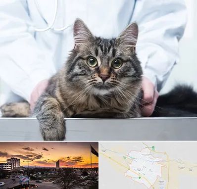 عقیم سازی حیوانات در قوچان