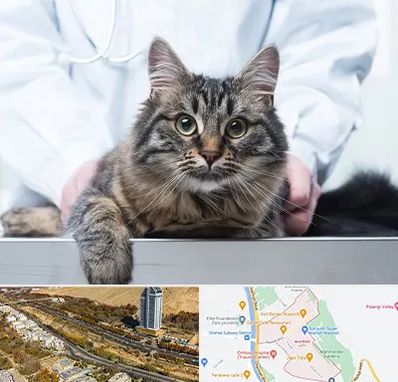 عقیم سازی حیوانات در خیابان نیایش شیراز