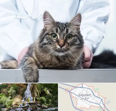 عقیم سازی حیوانات در الیگودرز