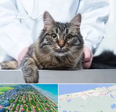 عقیم سازی حیوانات در فریدونکنار