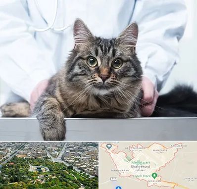 عقیم سازی حیوانات در شهرکرد