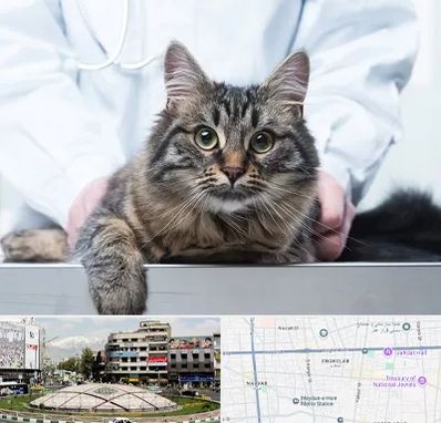 عقیم سازی حیوانات در مرکز تهران