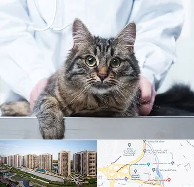 عقیم سازی حیوانات در المپیک 